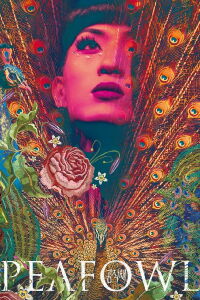 Peafowl (2024)