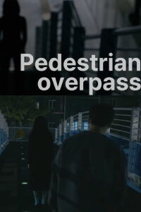 Pedestrian overpass (2023)