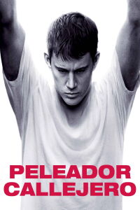 Peleador Callejero (2009)