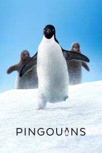 Penguins (2019)