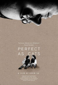 Perfect as Cats (2020)