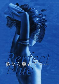 Perfect Blue: Yume Nara Samete (2002)