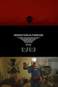 Perfection Is Forever (2015)