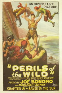 Perils of the Wild (1925)