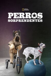 Perros Sorprendentes (2015)
