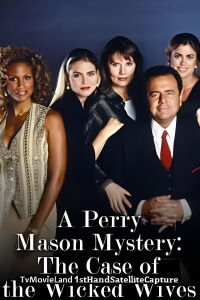 Perry Mason: El caso de las esposas malvadas (1993)