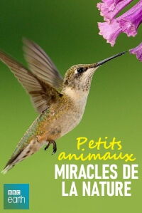 Petits animaux, miracles de la nature (2017)