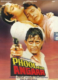 Phool Aur Angaar (1993)