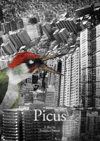 Picus (2023)