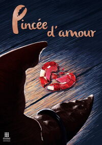 Pincée d'amour (2013)