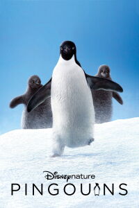 Pingouins (2019)