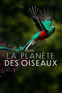 Planète des oiseaux (2018)