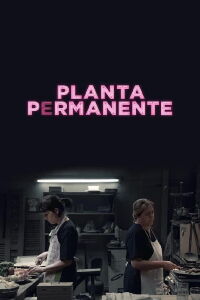 Planta permanente (2019)