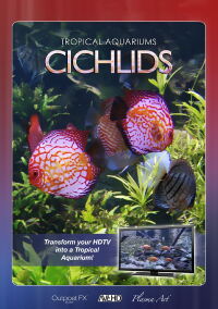 Plasma Art - Tropical Aquariums - Cichlids (2011)