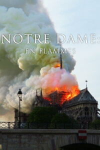 Pompiers de Paris : Sauver Notre-Dame (2019)