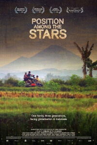 Position Among the Stars (2011)