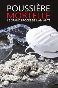 Poussière mortelle, le grand procès de l'Amiante (2011)