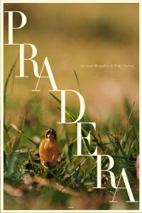 Pradera (2023)