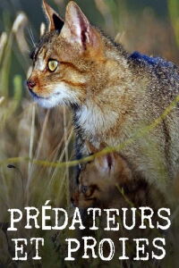 Prédateurs et proies - La faune de la péninsule Ibérique (2022)