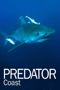 Predator Coast (2012)