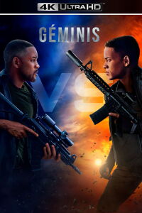 Proyecto Géminis (2019)