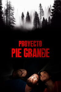 Proyecto Pie Grande (2017)