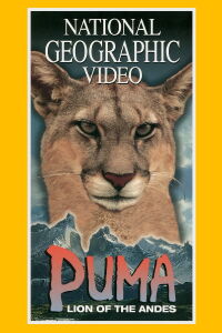 Puma: El León de los Andes (1996)