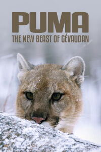 Puma, le fantôme du Gévaudan (2019)