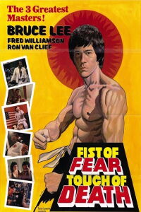 Puño de furia, contacto mortal (1980)