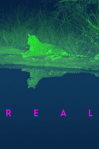 REAL (2024)