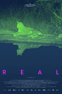 Real (2024)