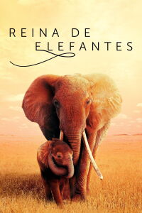 Reina de elefantes (2019)