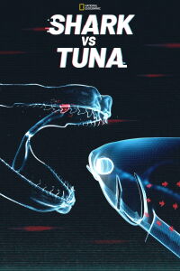 Requins contre Thons (2018)