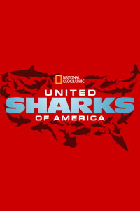 Requins en Amérique : un danger pour l'Homme (2015)