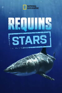 Requins stars (2020)