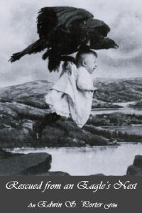 Rescued from an Eagle's Nest (1908)