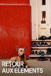 RETOUR AUX ÉLÉMENTS (2010)