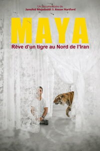 Rêve d’un tigre au Nord de l’Iran (2020)