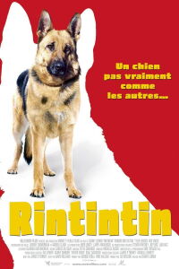 Rintintin (2007)