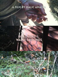 Roadsides and Waste Grounds (2012)
