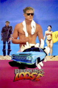 Rompiendo esquemas (1988)