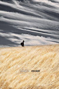 Ronan's Escape (2010)