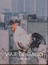 Rooster travel (1986)