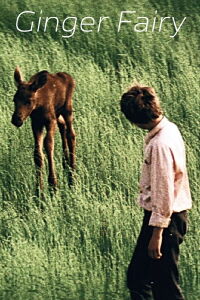 Руда фея (1987)