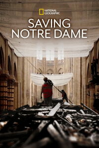 Salvar Notre-Dame (2020)
