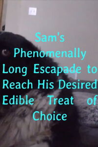 Sam's Phenomenally Long Escapade to Reach His Desired Edible Treat of Choice (2019)