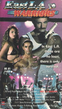 Samurai Warriors (1989)