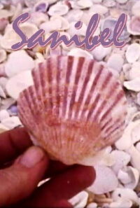 Sanibel (1978)