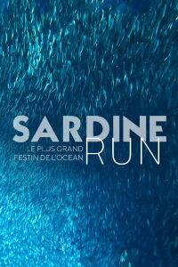 Sardine Run, le plus grand festin de l'océan (2022)
