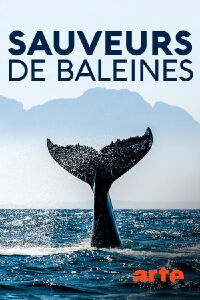 Sauveurs de baleines : les héros de l'île Campobello (2020)